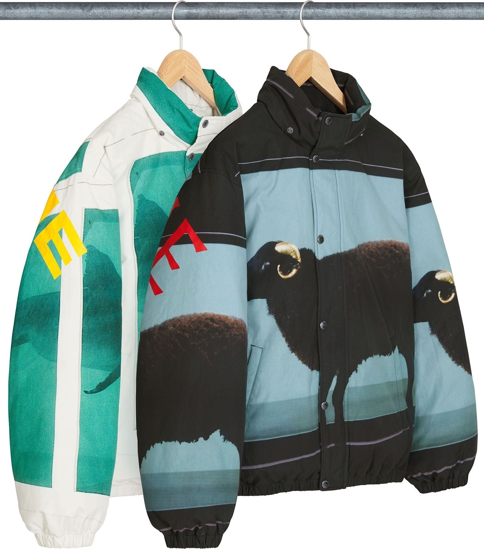 Supreme/Damien Hirst Down Puffer Jacket
